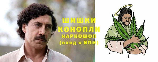 эйфоретик Баксан