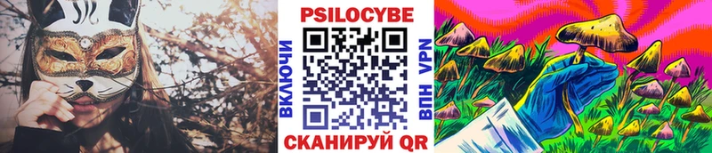 Псилоцибиновые грибы Psilocybe  Воткинск 